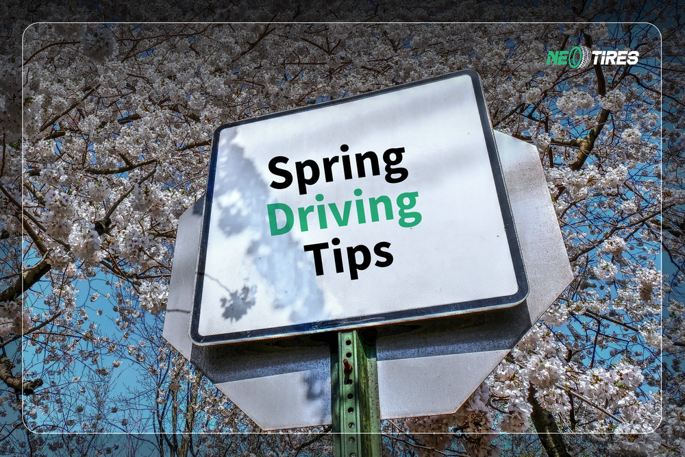 Spring Driving Tips And Vehicle Checks