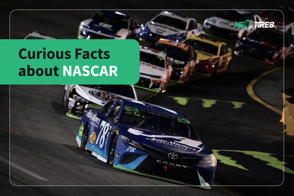 Curious Facts about NASCAR