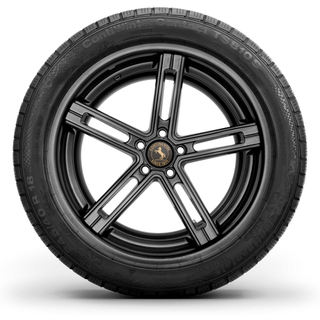 Picture of ContiWinterContact TS 810 S