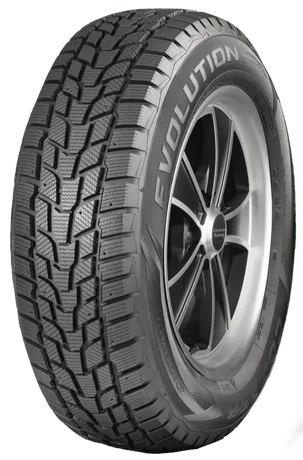 Picture of EVOLUTION WINTER 215/65R17 99T