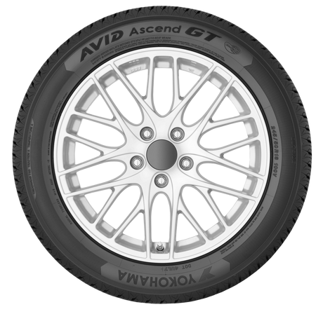Picture of Avid Ascend GT