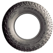 Picture of PATAGONIA A/T PRO LT275/55R20 E/10 120/117S