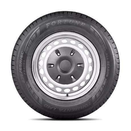 Fortune Tormenta LMD FSR103 MPN 