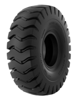 Picture of Strong Guard G3/L3 14.00-24/20 161B