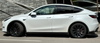 Best choice for my Tesla Tesla Model Y 2020 Long Range 257hp
