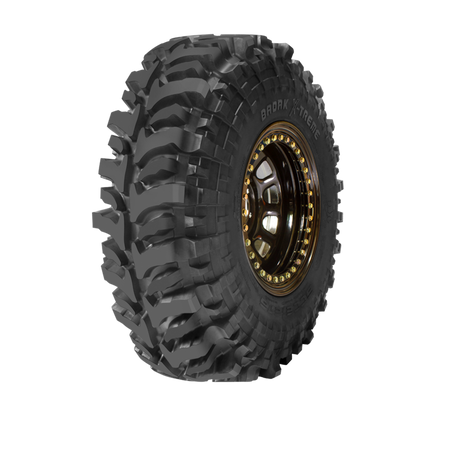 Accelera BADAK X-TREME | Price & Specs