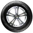 Bridgestone Blizzak DM-V1 directional tires