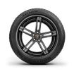 Continental ExtremeContact DW summer tires
