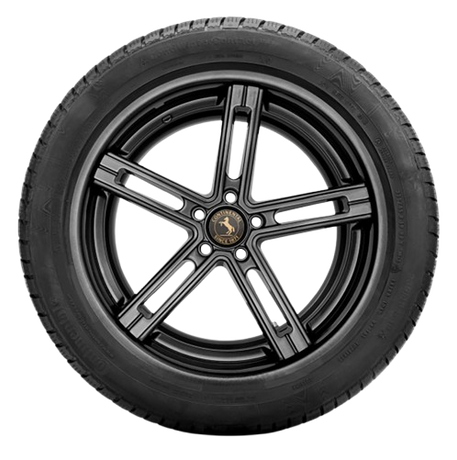 Continental WinterContact TS830 P 205/55R16 studless tire