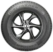 Cooper Discoverer True North 245/55R18 winter tire