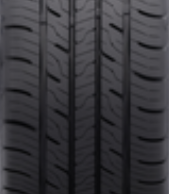 Dunlop Blue Response A/S 205/65R15 94H | Price & Specs