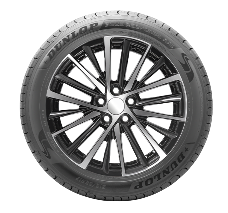 Dunlop Blue Response A/S 205/50R17 XL 93V | Price & Specs