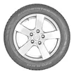 Falken Eurowinter HS01 studless tires
