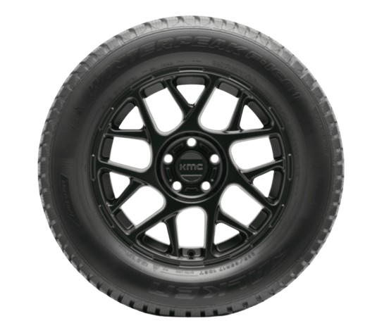 Falken WinterPeak F-Ice 1 | Price & Specs