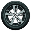 Firestone WeatherGrip passenger car/minivan tires