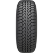 GT Radial Champiro IcePro 2 tubeless tires