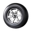 GT Radial Champiro IcePro 2 tubeless tires