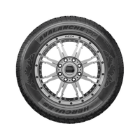 Hercules Avalanche TT 265/70R17 115T | Price & Specs