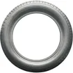 Milestar WeatherGuard AS710 Sport asymmetrical tires