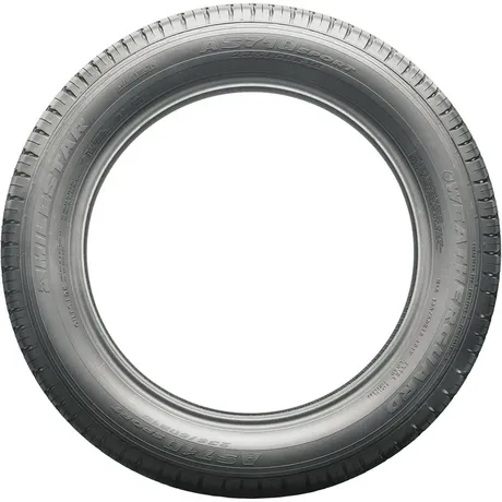 Milestar WeatherGuard AS710 Sport asymmetrical tires