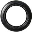 Nankang AS-1 285/30R21 asymmetrical tire