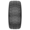 Nexen Roadian HP passenger light truck/suv tires