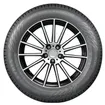 Nokian Hakkapeliitta R5 215/60R16 electric vehicle tire