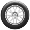 Uniroyal Tiger Paw Touring A/S passenger car/minivan tires