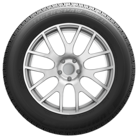 Uniroyal Tiger Paw Touring A/S passenger car/minivan tires
