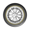 Vogue Custom Built Radial 21V MPN 